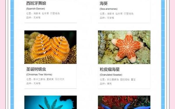 海洋生物最丰富的哪个大洋_海洋生物大全
