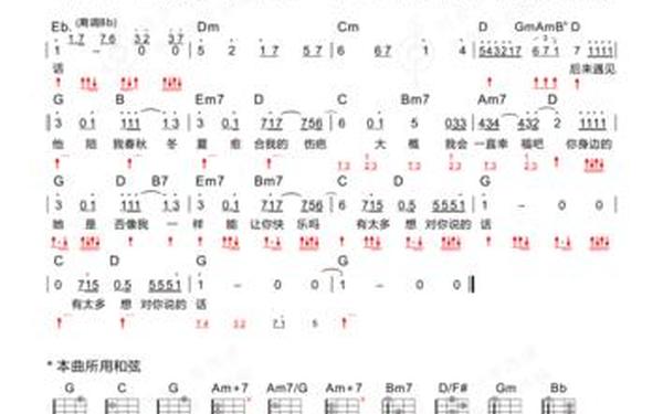 后来遇见他歌词—后来遇见他是什么歌曲