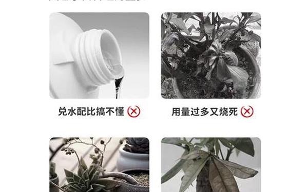 复活药水叫什么 复活药水