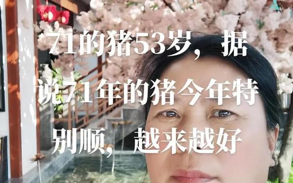 结婚71年同日去世 71年的猪寿命多长