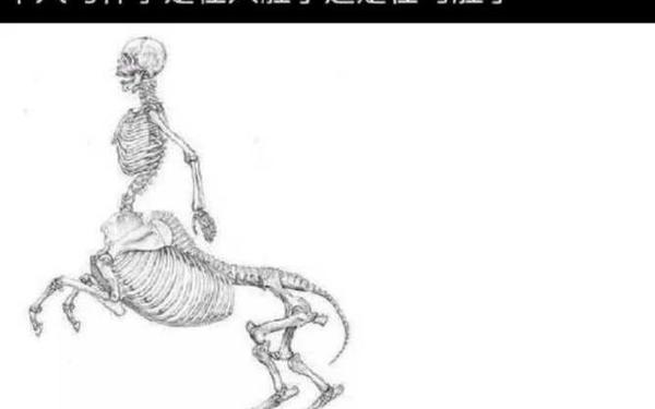 半人马,半人马娘怀孕大肚子视频
