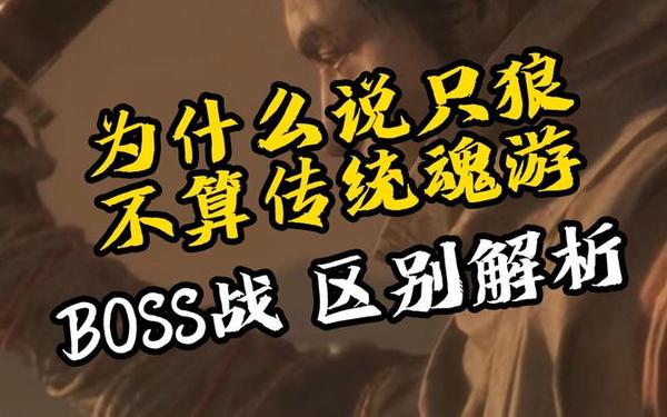 只狼是魂类游戏吗-类魂和魂类有什么区别