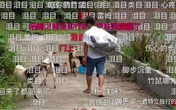 禁野2年后的华农兄弟：主业变养羊-荒田可以用来建养殖场吗