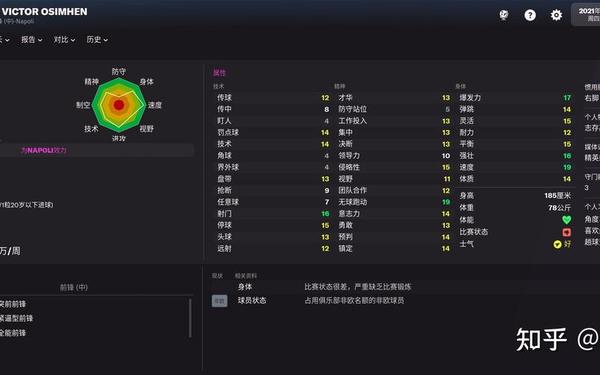 fm2011(Fm2011 虚拟球员)