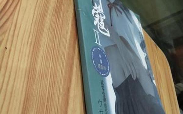 新蔻 新蔻啥意思
