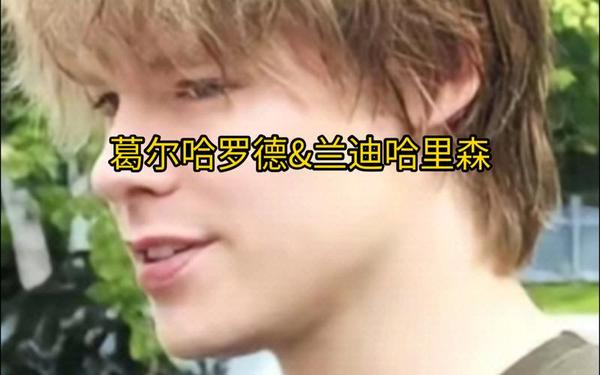 伊恩麦克莱恩,葛尔哈罗德的尺寸有多大