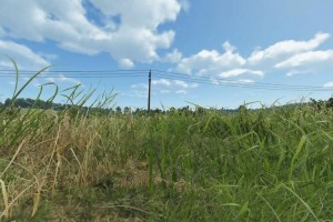武装突袭Reforge 免安装绿色中文版