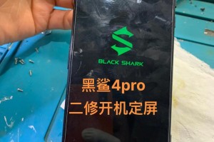 黑鲨的绝处逢生