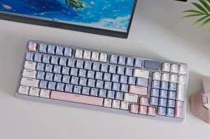 野区养猪   雷柏V700-8A多模有线无线背光游戏机械键盘宏驱动设置