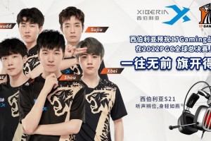 PGC2022 西伯利亚战略合作17Gaming和TMA战队闯进最终总决赛