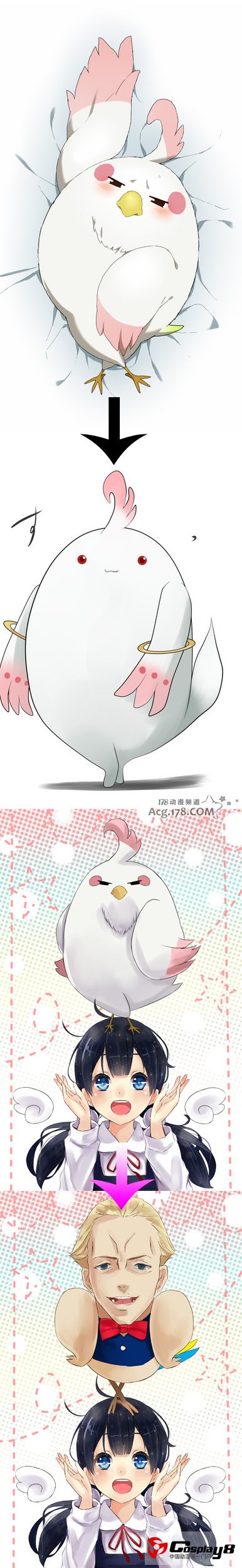 京阿尼新作《玉子市场》南国鸟雪人登场