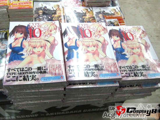 TYPE-MOON10周年纪念本希耶尔学姐变化大