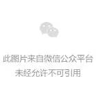 古谷徹助阵，《机动战士敢达OL》引爆萤火虫！