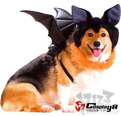 CosPlay最新图片