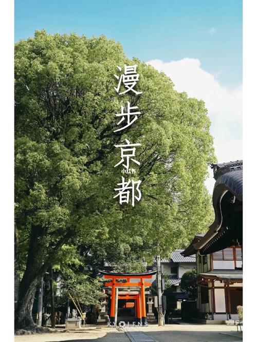 京都异常 免安装绿色中文版