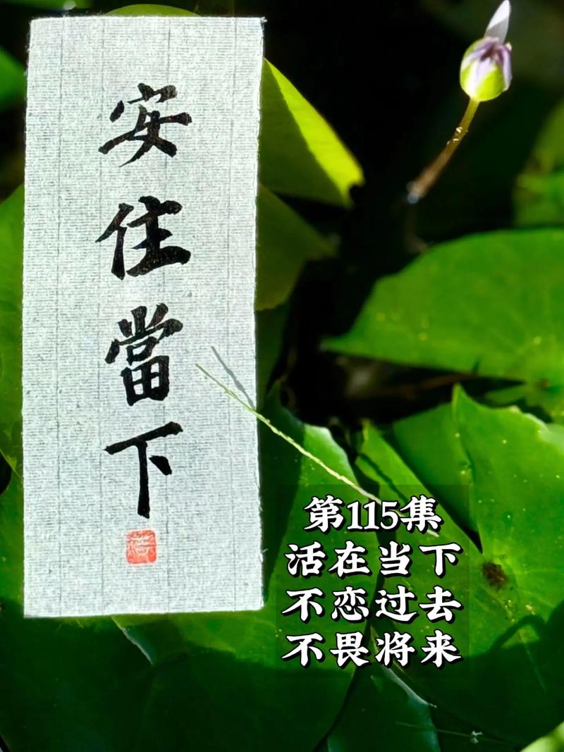 努力活在今天 免安装绿色中文版