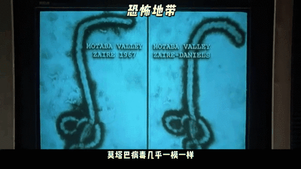 恐惧地带 官方中文版