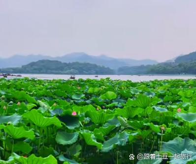 模拟美景摄影 免安装绿色正式版
