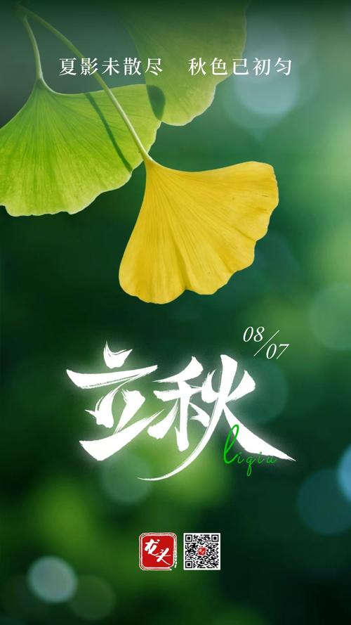 海贸风云录 免安装绿色正式版