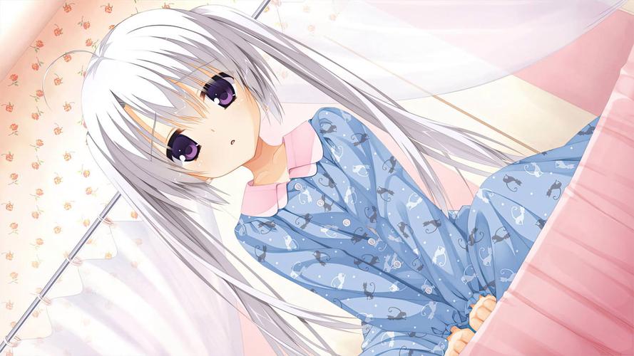 魔女的夜宴 免安装绿色版