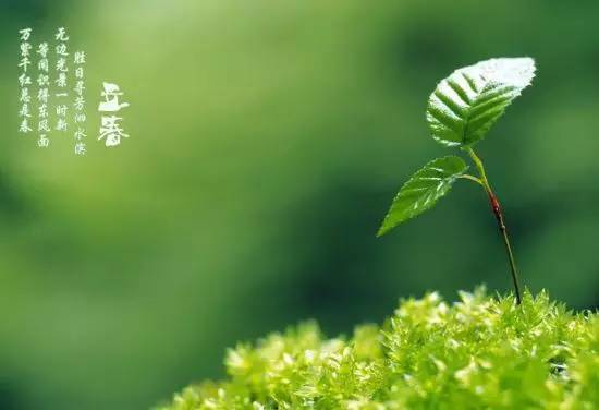 一年之春 免安装绿色中文版