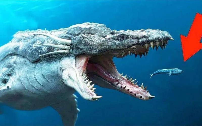原始生物 官方正版