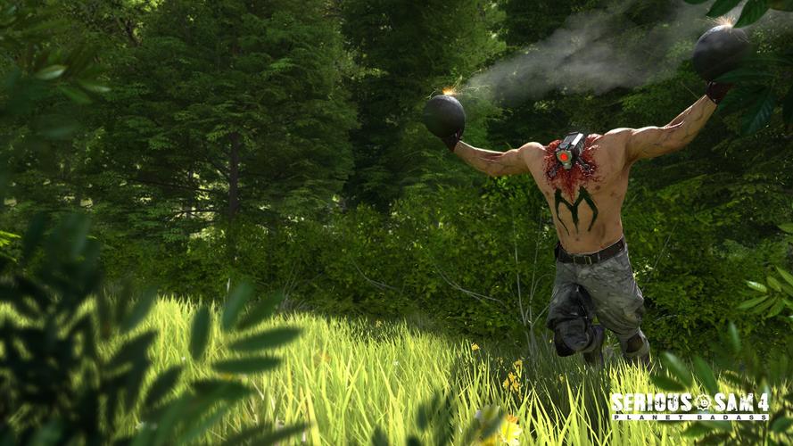 武装突袭Reforge 免安装绿色中文版