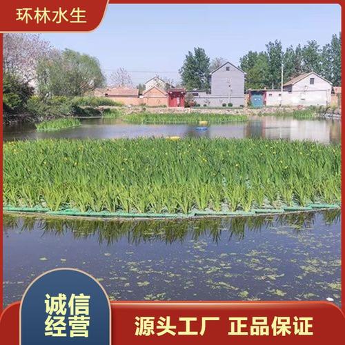 浮岛工厂 免安装绿色中文版