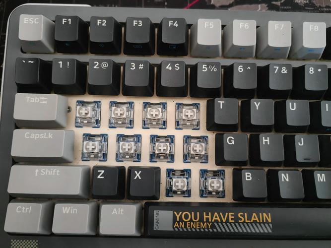 客制化热插拔轴 V500DIY-100&V700DIY热插拔型背光游戏机械键盘图赏