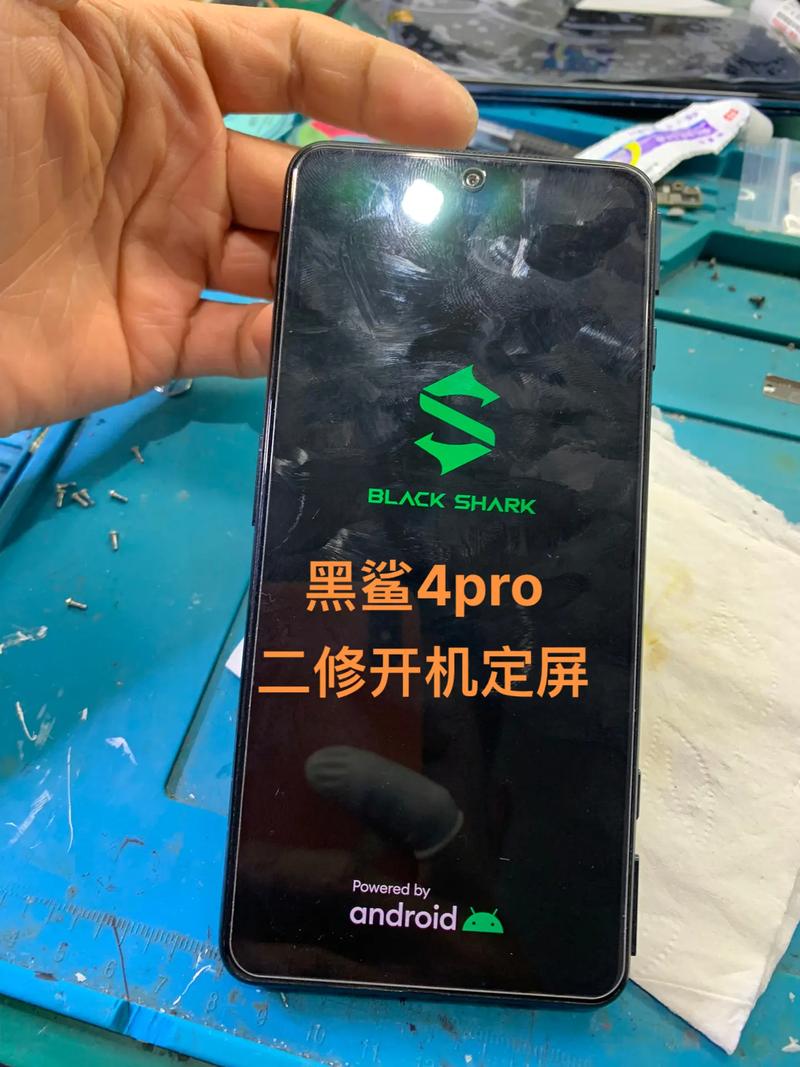黑鲨的绝处逢生