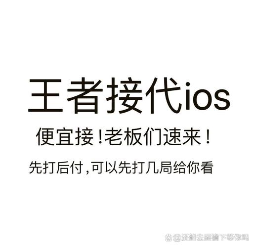 51充能代练平台(帮你练)