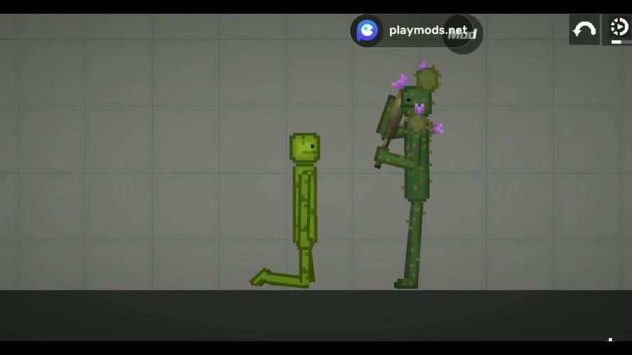 PlayMods