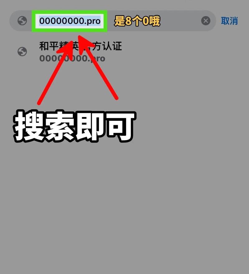 主播同款画质助手