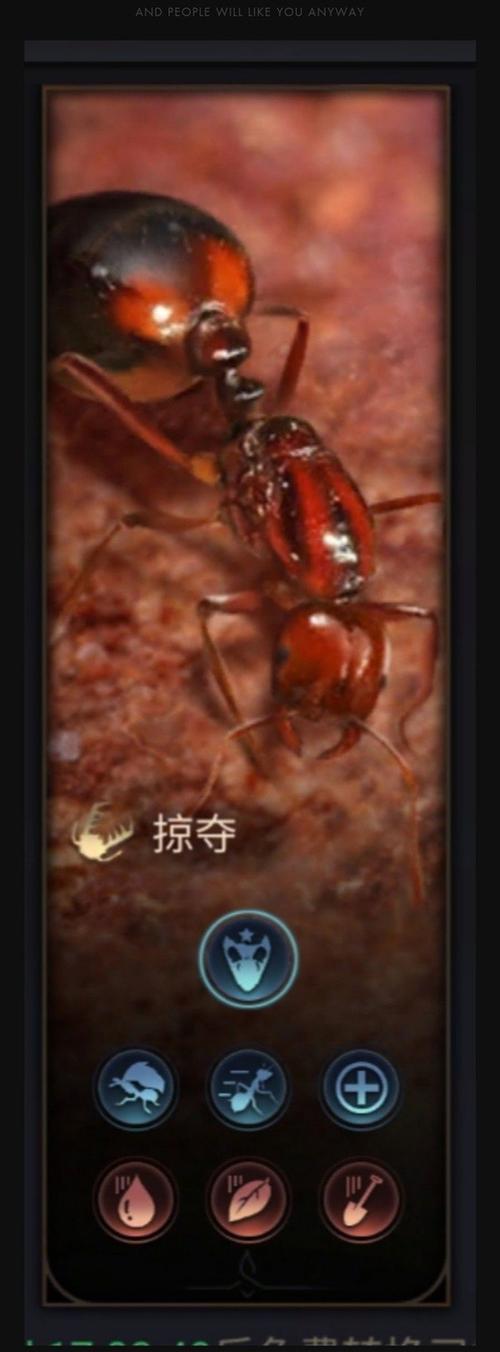 人鱼助手免费版