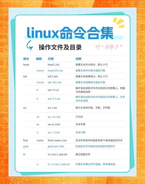 命令助手2025最新版