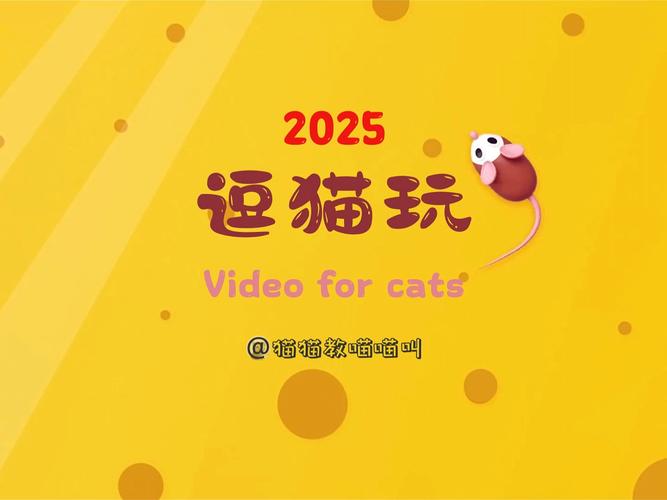 喵爱玩官方版