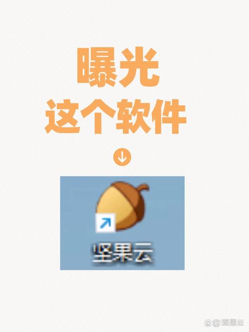 坚果游戏平台app