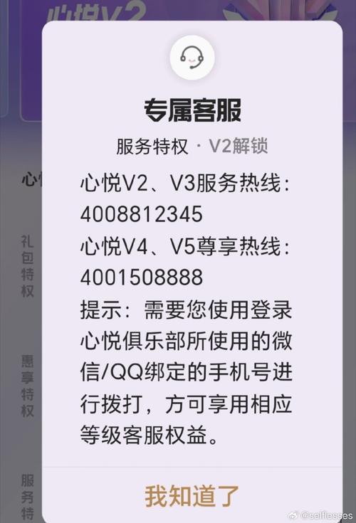 心悦专属版
