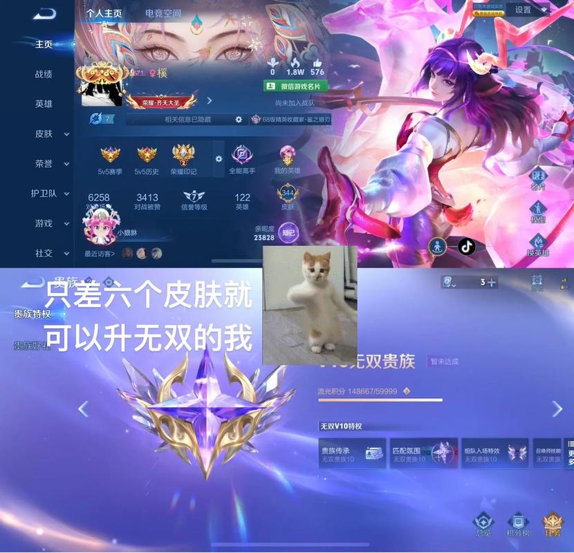 无双电竞软件