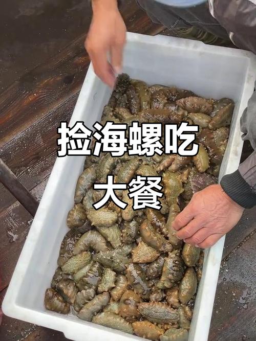 海鱼魔器官方版