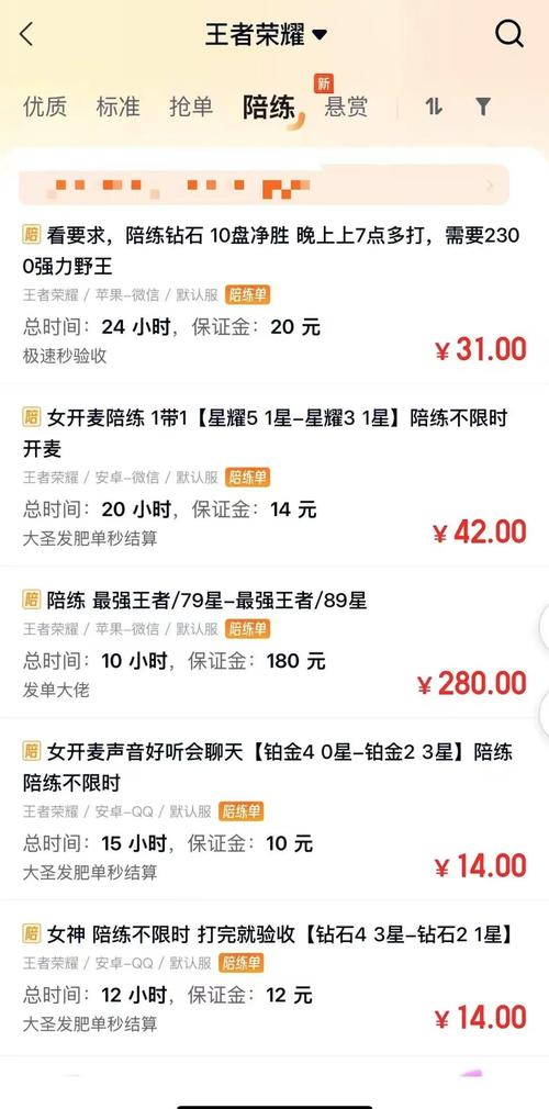 趣代练打手版