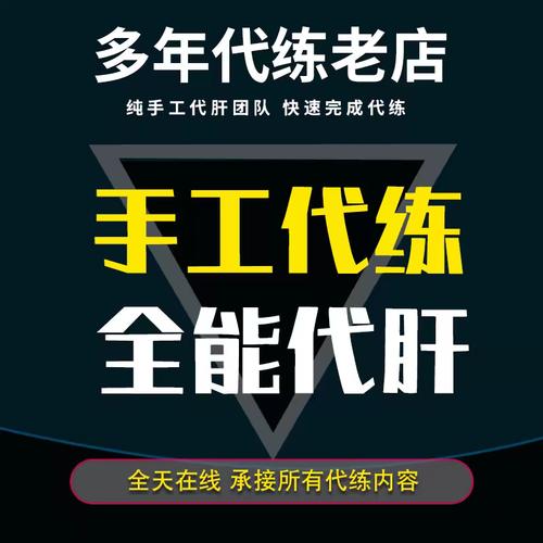 趣代练打手版