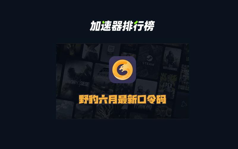 野豹加速器app
