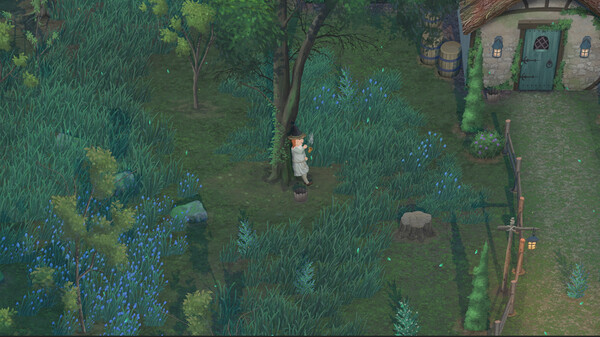 欢愉森林 Mirthwood官方中文Build.19336075-天涯牧歌-风与林语解压即撸