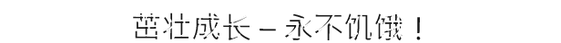 摧毁一切官方中文Build.18821236-恐惧来袭-破釜沉舟+全DLC解压即撸